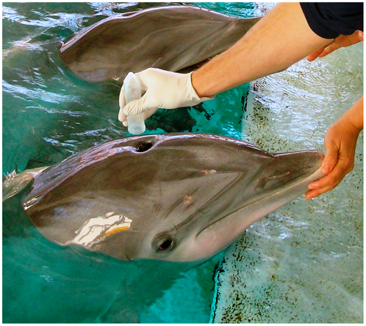 journal.pone.0012299.g001