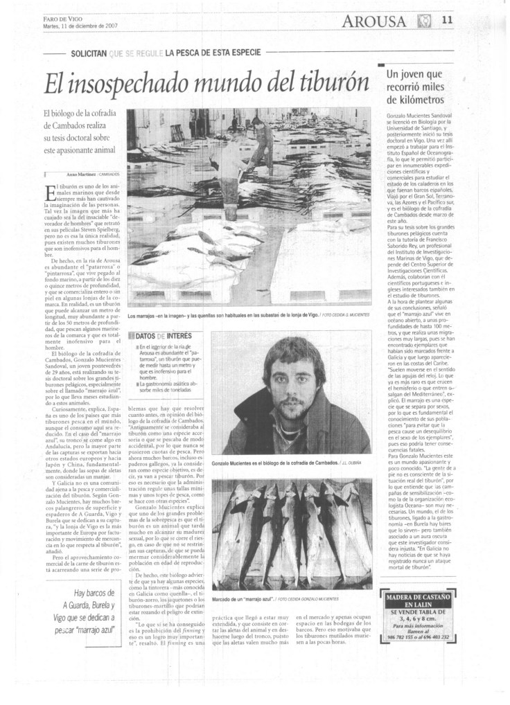 faro_tiburon_11-12-2007