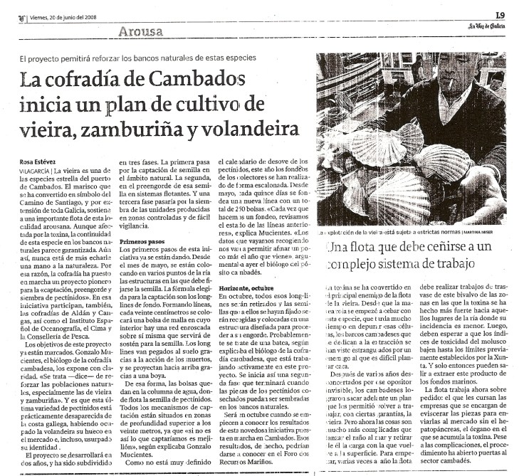 voz_cambados_20-6-2008