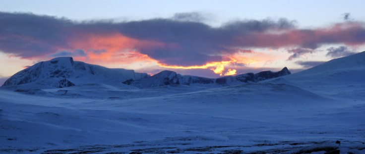 Estepa del Dovrefjell-Sunndalsfjella con el la montaña Snøhettaal fondo (foto: G. Mucientes, BEC)