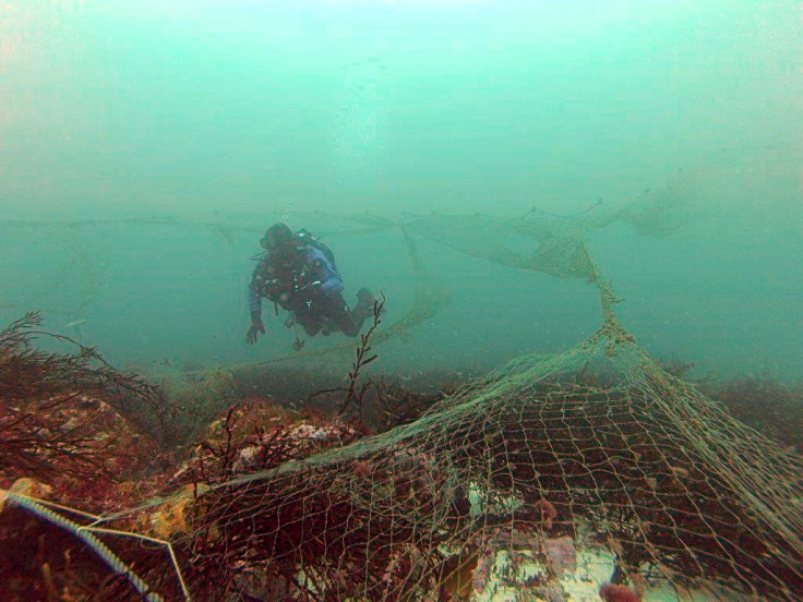 Buzo inspeccionando en el fondo una red abandonada (foto: PESCAL, BEC)