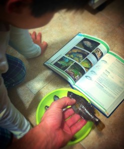 Primeros contactos con la ictiología. Foto: Alex Alonso