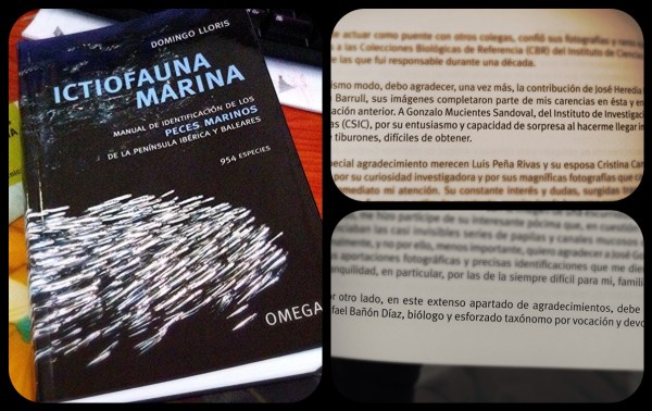Ictiofauna Marina por Domingo Lloris, donde Gonzalo y Rafa contribuyeron con parte del material gráfico. Foto: Alex Alonso