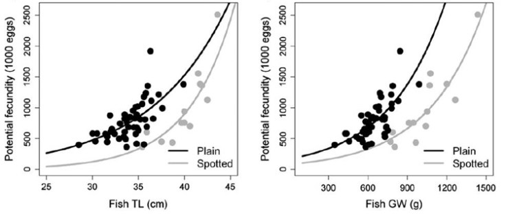 Curvas de fecundidad por talla y peso para pinto/maragota (Villegas-Ríos et al. 2014)