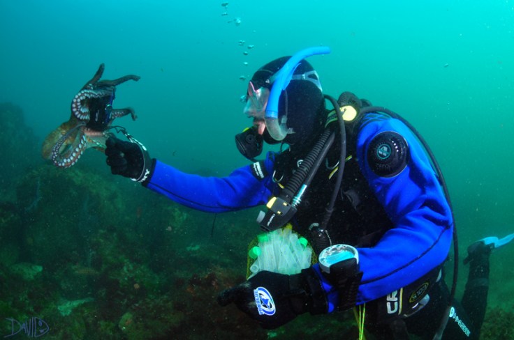 Inmersión en Viños. Foto: David villegas.